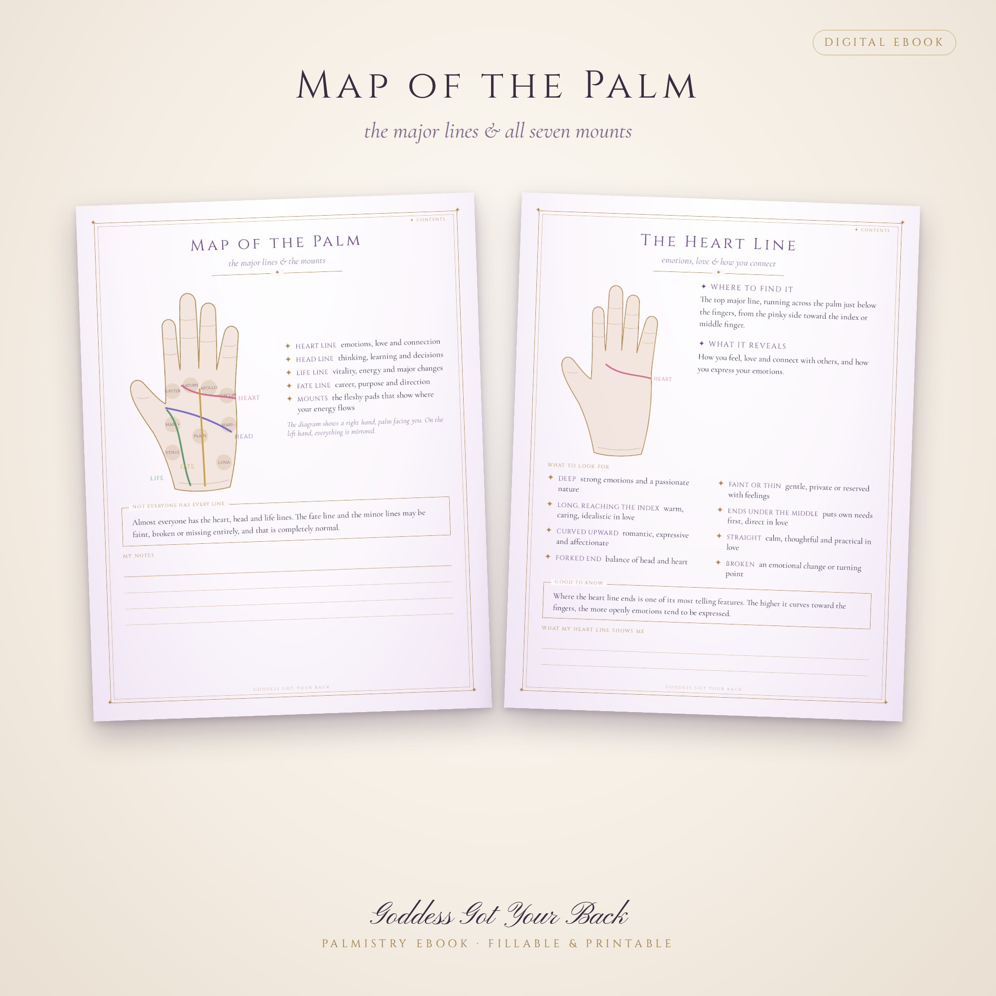 Palmistry: What Your Palm Says About You – Beginner's Palm Reading Ebook - Image 2