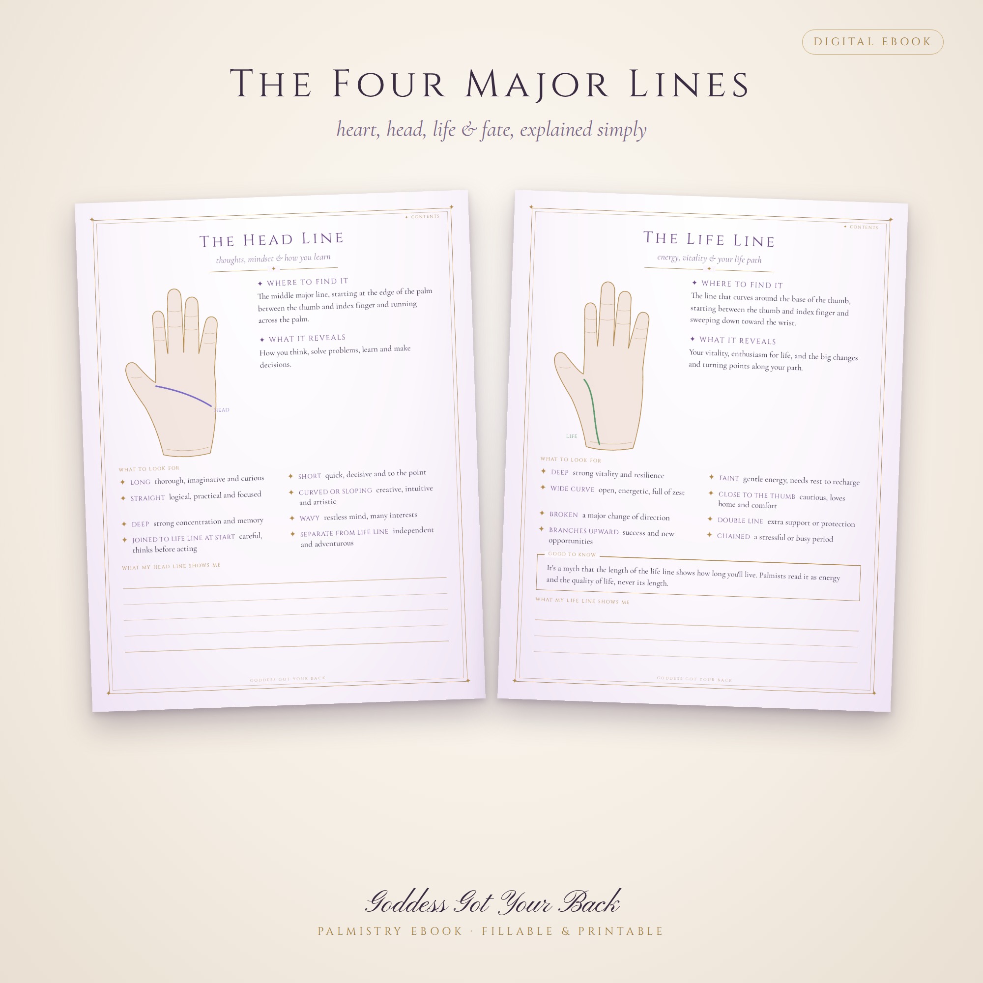 Palmistry: What Your Palm Says About You – Beginner's Palm Reading Ebook - Image 3